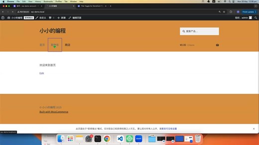 WordPress 自定义页面及隐藏Storefront标题