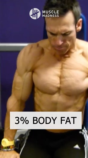 Shredder | Muscle Madness