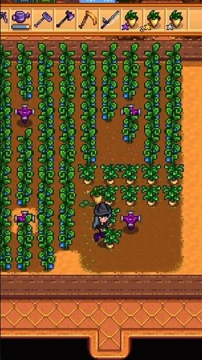 How to get iridium quality crops #stardewvalley