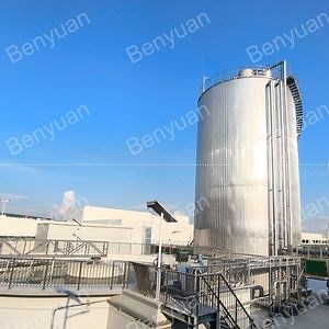 [Hot Item] Designed Specifically for Use in Sewage Treatment Plants, an Upflow Anaerobic Sludge Blanket Digester / Anaerobic Reactor