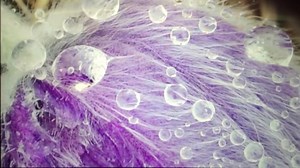 trim.D0C5BD09-FE48-4F46-97B4-AFDB186B3F73