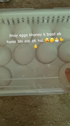 Funny Egg Eating Reactions That Will Make You Laugh