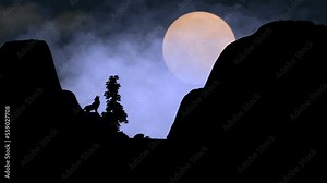 Wolf howling at the full moon in the wilderness Stock Video