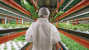 Vertical Gardening with Hanging Plants