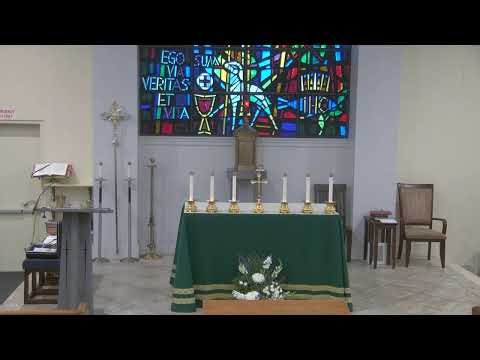 11AM Mass Livestream | St. Thomas More USC