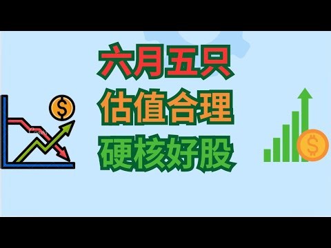 六月五只估值合理得硬核好股