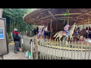 Cincinnati Zoo merry Go Round January 2021