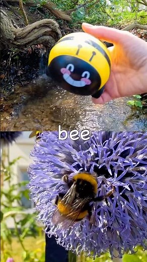 Learn Bug Insect Names at the Double Waterfall for Kids: Bee Butterfly Ladybug Caterpillar Beetle