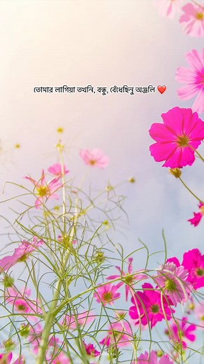 তোমার লাগিয়া তখনি বন্ধু বেঁধেছিনু অঞ্জলি #reelsfb #bong #love #trendingreels #bengalireels #storytellerani | Storyteller Ani