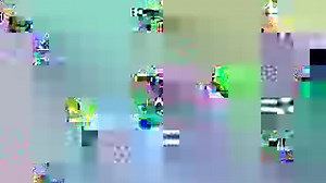 380K views · 1.2K reactions | The family-owned company HUF HAUS and...