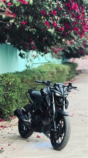 Exploring the Yamaha MT-15: A Biker’s Dream