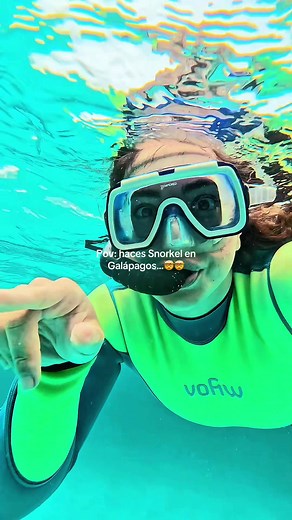 Snorkel en Galápagos: Experiencias Inolvidables