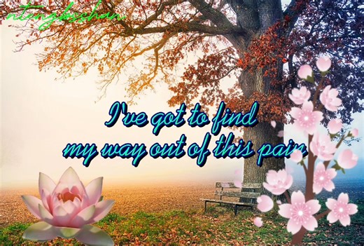 79K views · 2.2K reactions | YOU COME TO MY SENSES Song by : Chicago ♡ Music Video with Lyrics | music channel | Facebook