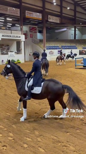 Horseback Riding Adventures and Mishaps