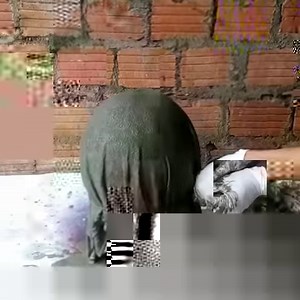 19M views · 298K reactions | Macetas creativas con cemento y hojas. | Pasion | Facebook