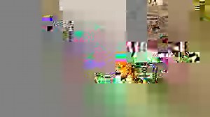 There's so much more to the Whitsundays than just spectacular beaches, like great fishing, unique shopping and Australia's largest coffee plantation! ☕️🛍🐦 ☀️ Want to win a 6 night holiday in the Whitsundays for 2 kids and 2 adults? Head to http://bit.ly/WinAWhitsundaysFamilyHoliday ☀️ See more of Duane's Whitsundays adventure at https://bit.ly/JourneyAroundTheWhitsundays ☀️ The Whitsundays have rounded up some special offers just for viewers of Weekender, click here to see what amazing deals a