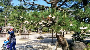 Accessible Japan: Information About Traveling in Japan With a Disability