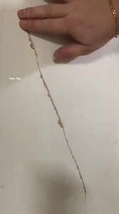 114K views · 915 reactions | Tool Tips on Reels | Facebook