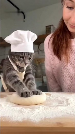 Cat Slaps Owner in Face – Her Russian Reaction Is Priceless! | #catshorts #shorts