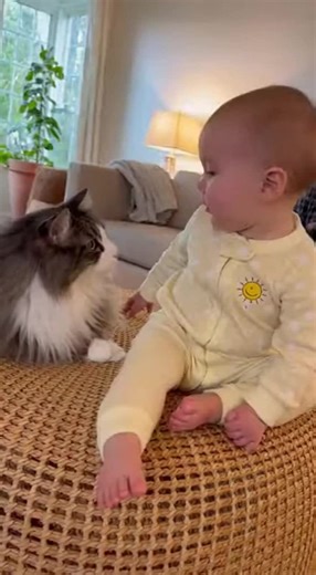Cat Slaps Baby 😹👶 | Baby’s Funny Crying Reaction 😂 #CatVsBaby #FunnyBaby #CatFunny #BabyCrying #creatorsearchinsights Cat Slaps Baby 😹👶 | Baby’s Funny Crying Reaction 😂 When Cat Hits Baby and Regrets It 😹👶😂 Cat Gave Baby a Slap 😹 Baby Started Crying 😂👶 Cat vs Baby 😂 Unexpected Funny Moment 😹👶