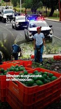 9,500 troops to protect Michoacán avocados
