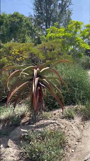 San Diego Botanic Garden, Encinitas