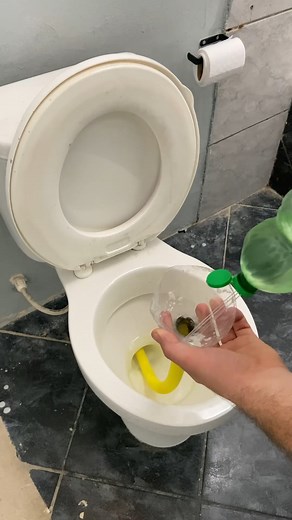 2.7K views · 31 reactions | Put a hose in the toilet bowl! | Tips and Tricks US | Facebook