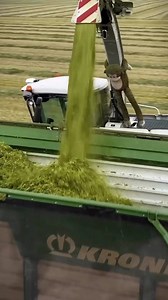 Miracle rice?! 😳 #shorts #topvideo | Alam mo ba?