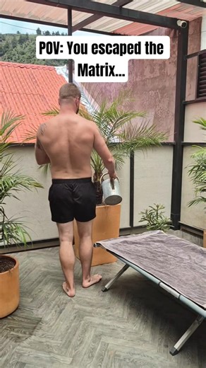 POV: You escaped the Matrix...and found peace in Colombia 🇨🇴