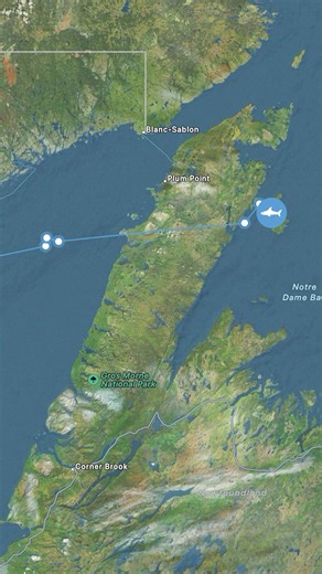 11K views · 125 reactions | Hey OCEARCH Crew!  Ever wondered how...