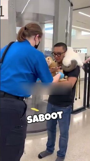 These Cats Shocked the Airport Security…