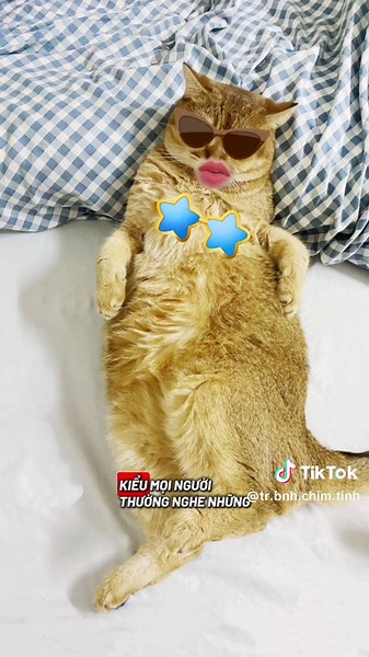 Mọc Nhân Mã P2 #chiemtinh #nhanma #astro #cunghoangdao #zodiac #cunglua #vanvatbietnoi