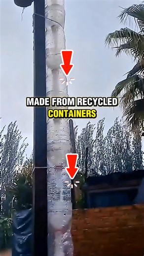 Simple Rainwater Filtration Setup for Everyone