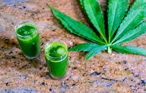 How To Juice Cannabis Plus Easy Drink Recipes | Green Flower News