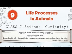 Class 7 Science Curiosity Chapter 9 | Life Processes in Animals | Full Chapter/ Oneshot