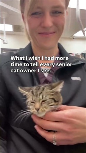 90% of cats over 12 have arthritis in at least one joint