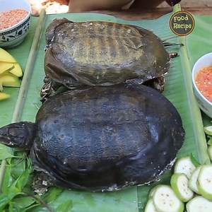 84K views · 869 reactions | Amazing food_Cooking Turtle recipe and eating with vegetable. Credit : Natural Life TV | Food-Recipe | Facebook