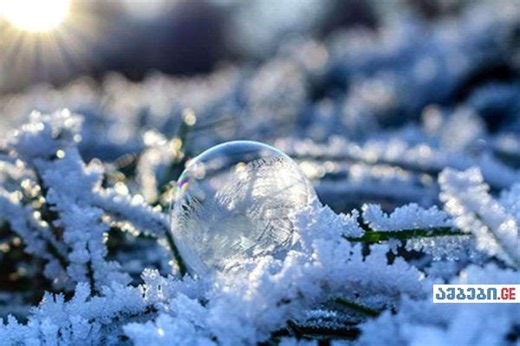 როგორი ამინდი გველის წინასაახალწლო დღეებში და ახალი წლის ღამეს?