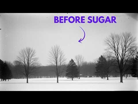 The Maple Sugar Season: A Month of Brutal Work Before Spring Arrived | 1870–1925