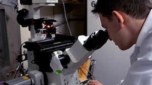 Engineering and Characterization of an Optogenetic Model of the Human Neuromuscular Junction