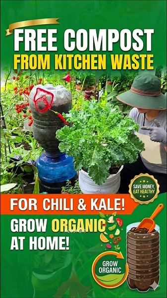 From Trash to Treasure: The Ultimate DIY Composting Hack!