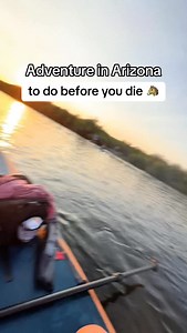 211K views · 5.3K reactions | WILD HORSES NEAR PHOENIX?!  Only 30...