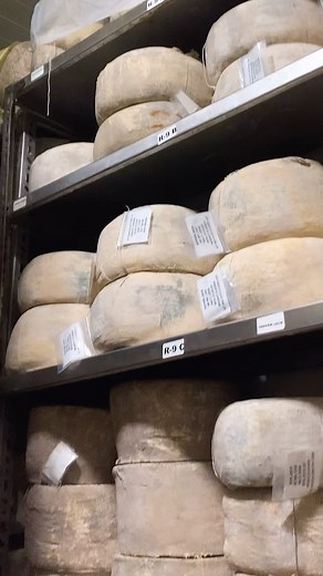 🧀 The Ultimate Cheese Wheel Collection! 🧀 Experience the finest selection of artisanal, handcrafted, and non-processed cheese wheels—aged to perfection for an unmatched depth of flavor. Whether it’s Parmesan, Cheddar, Gouda, or Blue Cheese, our premium wheels bring rich taste and tradition to every table. 🔹 Pure Ingredients | 🔹 Aged to Perfection | 🔹 Uncompromised Quality Stock up today and taste the difference! 🛒 Shop now: www.farmerscheesemaking.com #FarmersCheeseMaking #CheeseWheels #Ar