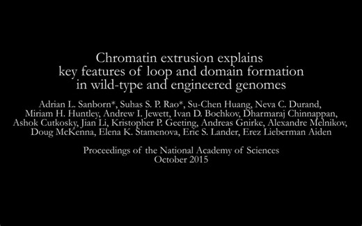 How does DNA fold? The loop extrusion model