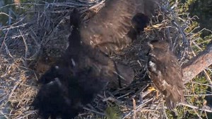 厉害了宝，这次腾空时间长多了 20250308_哔哩哔哩_bilibili