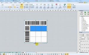 如何快速制作UDI-功能复杂的UDI-任意条码标签-教程分享