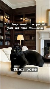 #cat #catstagram poser black luxury library If they want to paint you as the villain. Then pose.