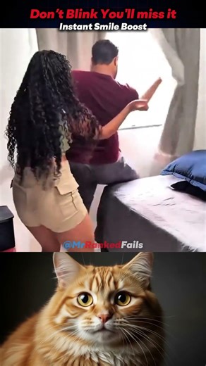 Two things to watch the funny moment + who's under it 😼