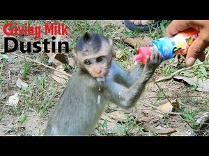 It's too Early For Baby Dustin Living Without Mom Diamond, Who Will Be Adopted Dustin? Orphan Dusitn