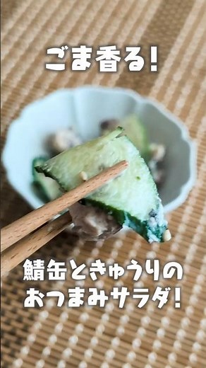 ごま香る！鯖缶ときゅうりのおつまみサラダ #簡単レシピ #おつまみ #料理 #鯖缶 #きゅうり #shorts